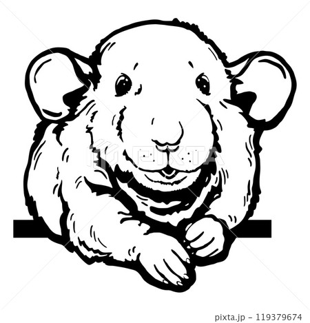 Peeking Hamster - Funny Farm Animal - Animal Stencil Cut Files 119379674
