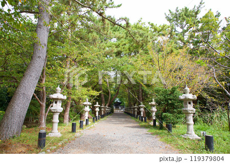 鶴嶺八幡宮 鶴嶺八幡宮 119379804
