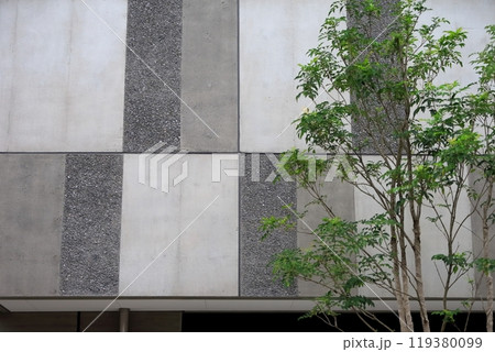 コンクリートの外壁 119380099