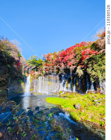 白糸の滝（秋）　[富士宮市] 119380526