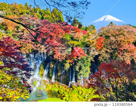 白糸の滝と富士山(秋) 白糸の滝と富士山(秋) 119380564