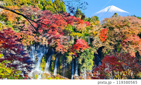 白糸の滝と富士山(秋) 白糸の滝と富士山(秋) 119380565