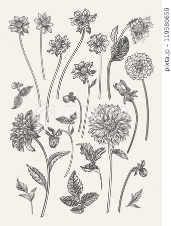 Set with dahlia flowers.  Vertical 119380659