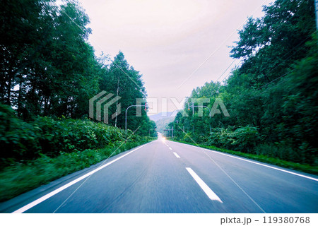 森の中を抜けていくまっすぐな道 森の中を抜けていくまっすぐな道 119380768