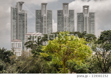 The large trees in city park with Millennium Residence buildings background. 119381152