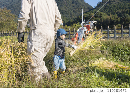 稲刈りの手伝いをする男の子 119381471
