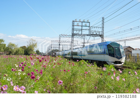近鉄観光特急しまかぜと秋桜 119382188