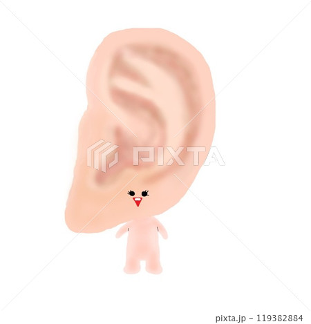 耳 119382884