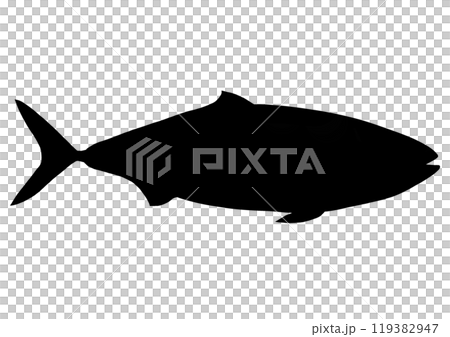 黃尾魚剪影 黃尾魚剪影 119382947