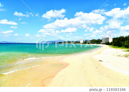 喜瀬より名護市中心街方面を望む(沖縄県名護市)【2024.10】 119383166