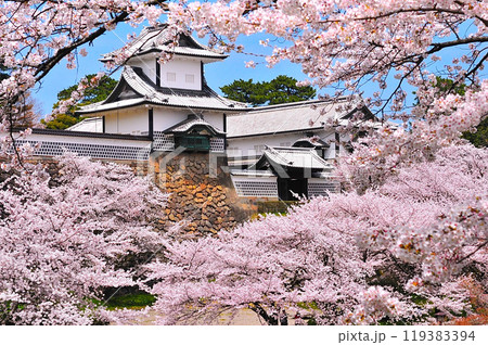桜舞う金沢城 119383394