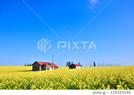 北海道の風景 119383540