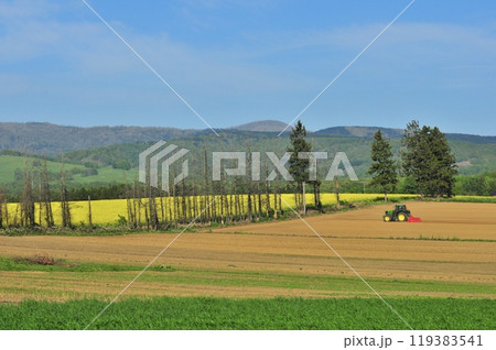 北海道の風景 119383541