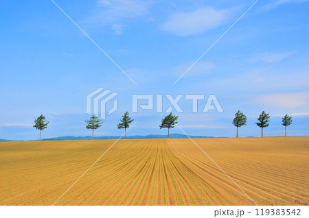 メルヘンの丘 119383542