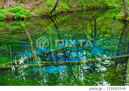 神の子池 119383548