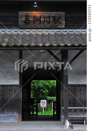 嘉例川駅と駅猫 119383551