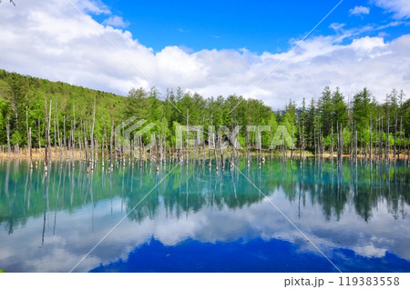 青空広がる青い池 119383558