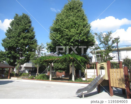 西片公園付近 西片公園付近 119384003