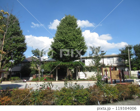 西片公園付近 西片公園付近 119384006