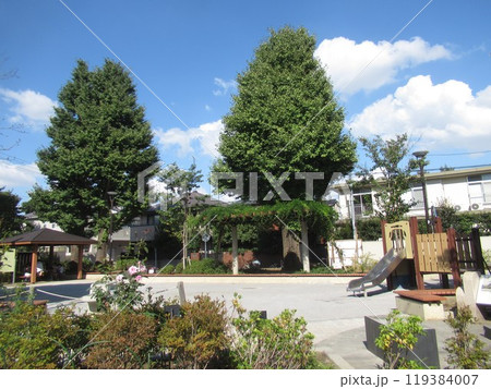 西片公園付近 西片公園付近 119384007