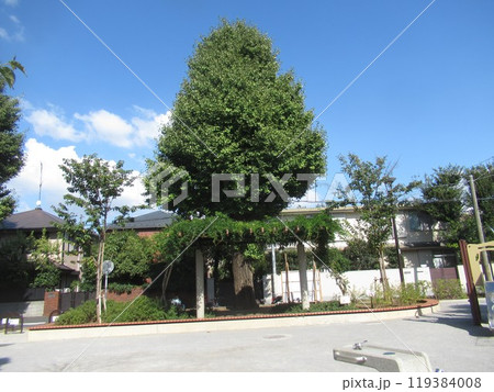 西片公園付近 119384008