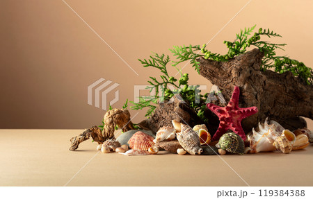 Abstract nature scene with a composition of seashell, starfish, green branches, and snags. 119384388