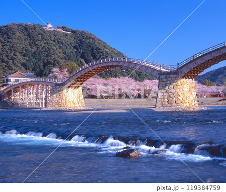 桜咲く錦帯橋、背景に岩国城/日本100名城 /山口県岩国市横山 119384759