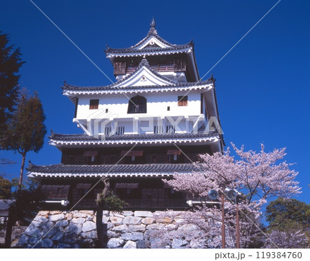 桜咲く「岩国城」/日本100名城 /山口県岩国市横山 119384760