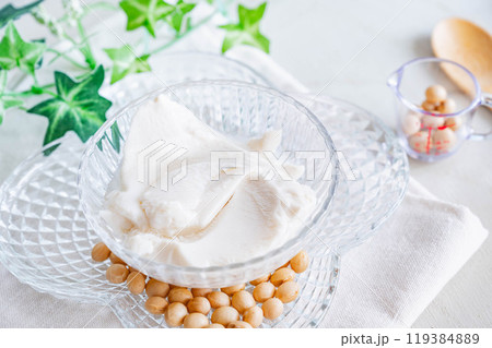 豆乳ヨーグルト 豆乳ヨーグルト 119384889