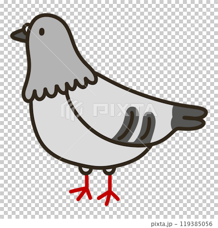 Pigeons 119385056