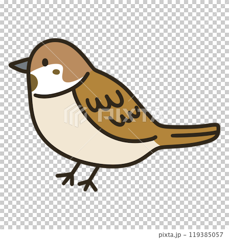 Sparrow 119385057