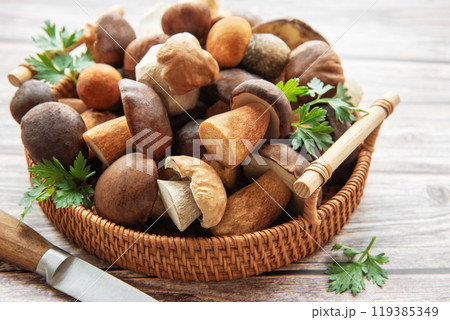 Freshly harvested mushrooms arranged in a woven basket with a knife and herbs  119385349