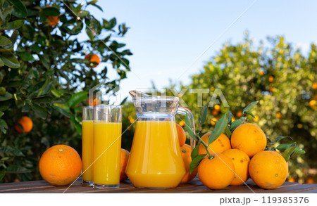 Orange juice with ripe oranges in orchard Orange juice with ripe oranges in orchard 119385376