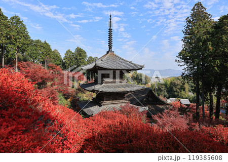 秋の湖南三山 常楽寺 秋の湖南三山 常楽寺 119385608