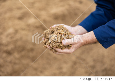 Hands of farmer holding brewer's spent grain 119385947
