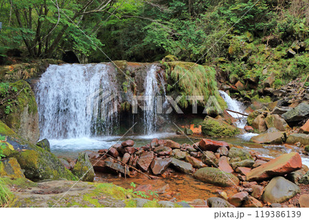 蓼科中央高原　横谷峡 119386139