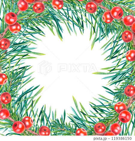 Christmas square frame with holly berries, coniferous branches. Hand drawn winter template on isolated background. Illustration of evergreen plant for new year greetings cards or wedding invitations. Christmas square frame with holly berries, coniferous branches. Hand drawn winter template on isolated background. Illustration of evergreen plant for new year greetings cards or wedding invitations. 119386150