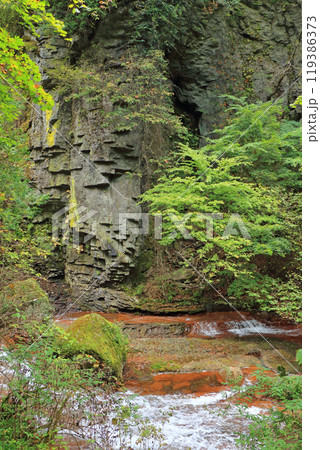 蓼科中央高原 横谷峡 蓼科中央高原 横谷峡 119386373