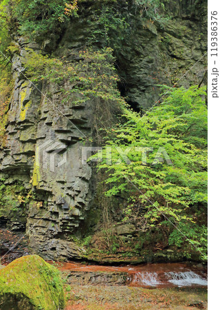 蓼科中央高原　横谷峡 119386376