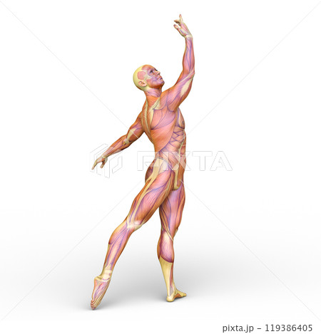 ポーズをとる男性 ポーズをとる男性 119386405