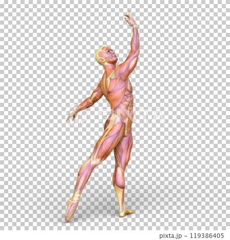 ポーズをとる男性 ポーズをとる男性 119386405