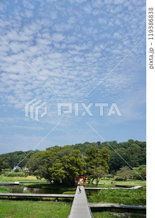 日本の神奈川県足利上郡にある厳島神社 日本の神奈川県足利上郡にある厳島神社 119386838