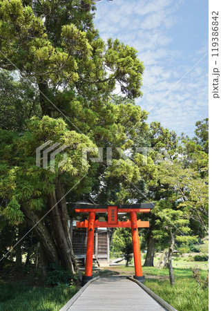 日本の神奈川県足利上郡にある厳島神社 119386842