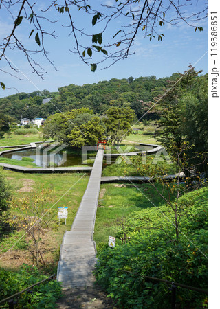 日本の神奈川県足利上郡にある厳島神社 119386851