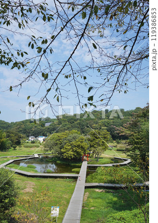 日本の神奈川県足利上郡にある厳島神社 119386853