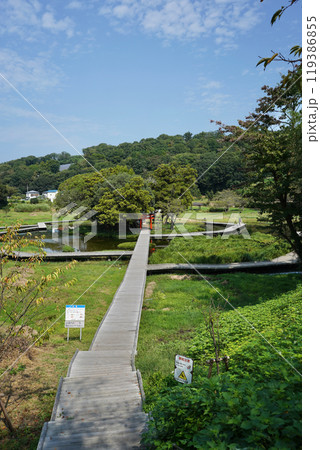 日本の神奈川県足利上郡にある厳島神社 119386855