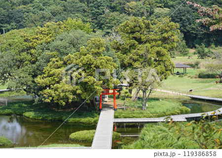 日本の神奈川県足利上郡にある厳島神社 119386858