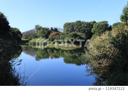 金山緑地公園 119387222