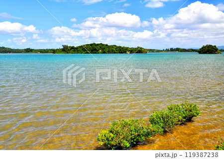 羽地内海/ヤガンナ島周辺(沖縄県今帰仁村)【2024.10】 羽地内海/ヤガンナ島周辺(沖縄県今帰仁村)【2024.10】 119387238