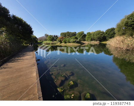 金山緑地公園 金山緑地公園 119387743